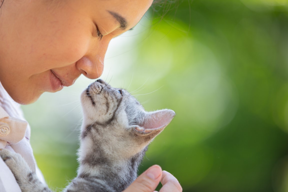 Gemeinsam stark für Tiere – wie die Spendentafel Tierschutz sichtbar macht