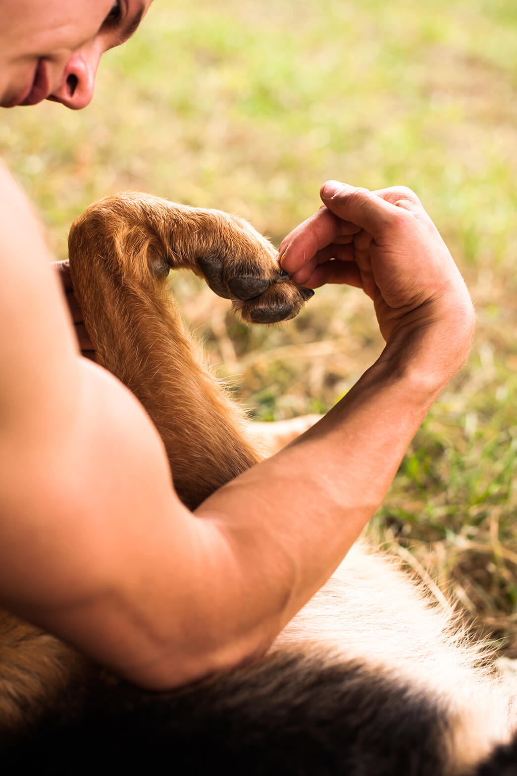 Spendentafel für Tierschutz